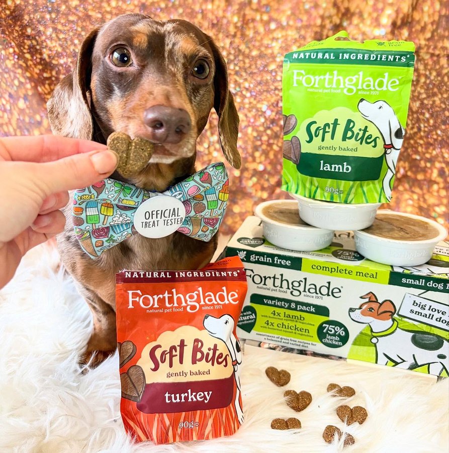 Instagram post by @bailey_chocolate21 for Forthglade. Caption reads: 💚 Snack Sunday 💚

So @forthglade is definitely a....