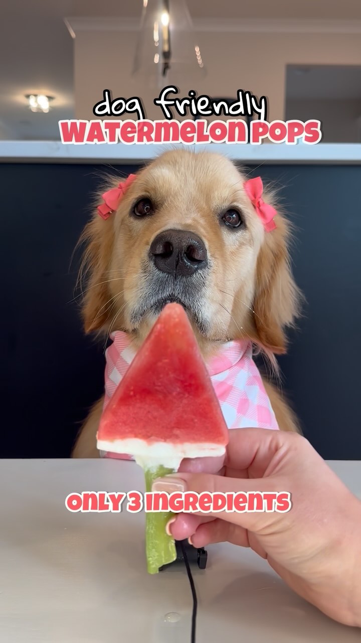 Instagram post by an influencer for VEG (Veterinary Emergency Group). Caption reads: On today’s episode of #asmr recipes: Watermelon....