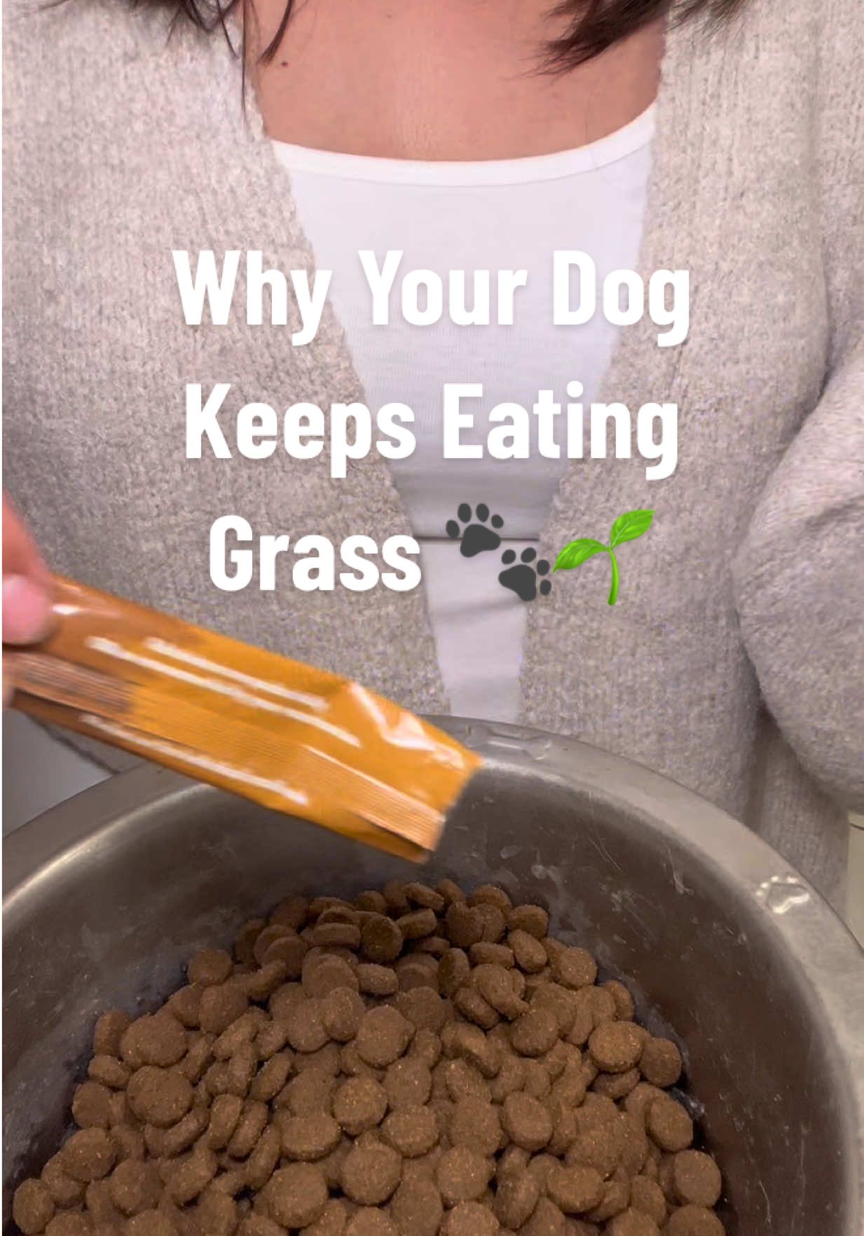 TikTok post by @bodhiandkoda for Vital Pet Life. Caption reads: [...] Dogs probiotic powder packets from @Vital....