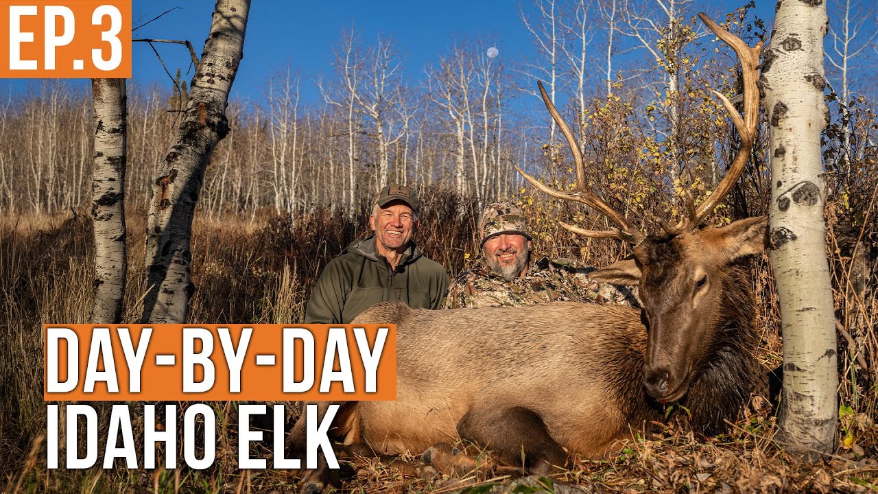 YouTube post by @Fresh_Tracks for Ollin. Caption reads: BULL ELK DOWN | Idaho Backcountry Elk Hunt (Ep.3).