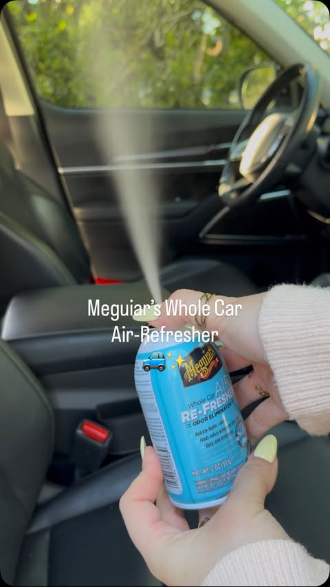 Instagram post by @mydoseofhome for Meguiar’s. Caption reads: #MeguiarsPartner Reset my car with me ft. [...].