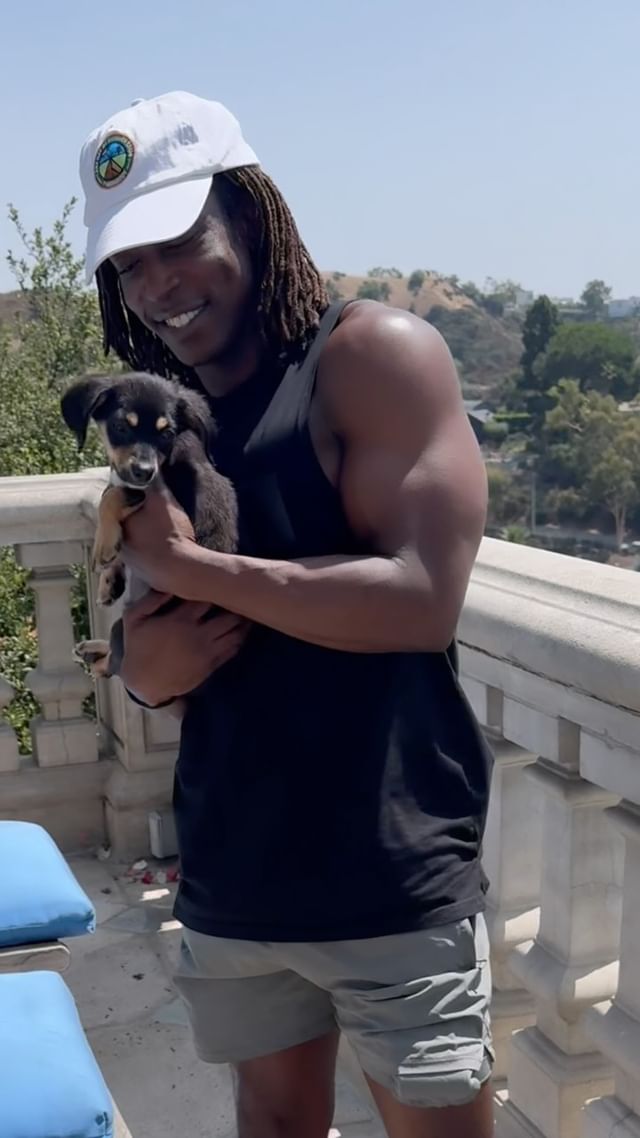 Instagram post by @wanderwellliving for Pups Without Borders. Caption reads: [...] adopt these adorable pups from....