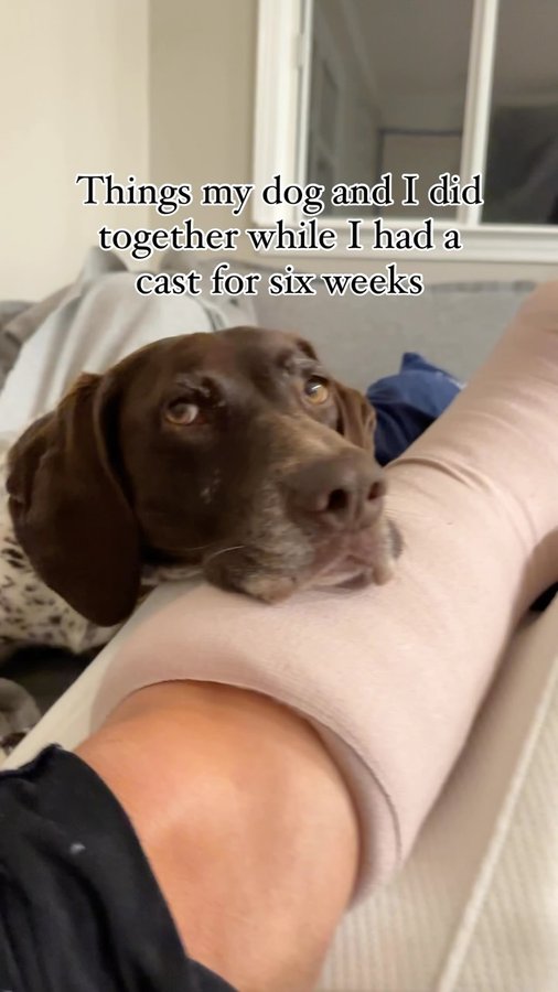 Instagram post by @life.with.pickles for VetriScience. Caption reads: Six weeks in a cast didn’t stop me and my pup from....