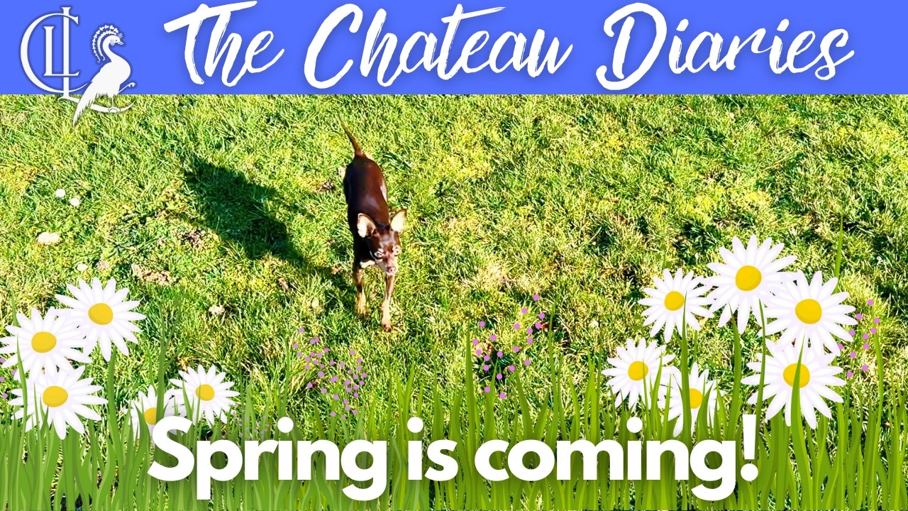 YouTube post by @TheChateauDiaries for FOREO. Caption reads: [...] your loved one or even yourself with FOREO!....