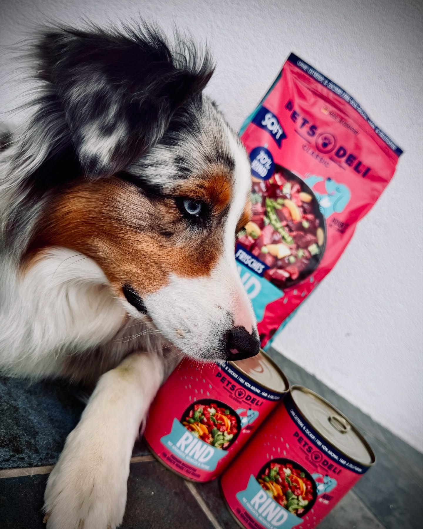 Instagram post by @nala_paula_aussiepower for Pets Deli. Caption reads: -Werbung-

POV: Du stellst das neue Futter von....