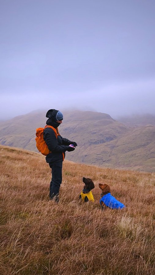 Instagram post by @somewherewilder for Forthglade. Caption reads: Happy national hiking day!!! 🥳🌲🐾🥾

There’s....