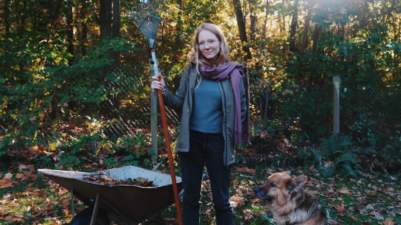 YouTube post by @rosagold for SNOCKS. Caption reads: The first autumn days at the house in the forest....