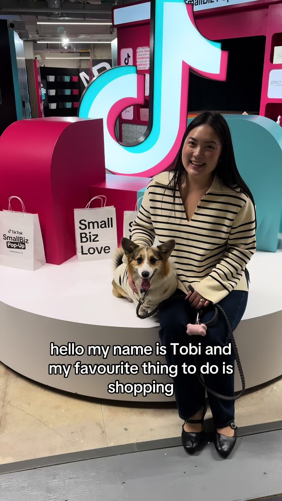 TikTok post by @beliciachung for Dandylion. Caption reads: The TikTok SmallBiz Pop-Up, presented by TD is at....