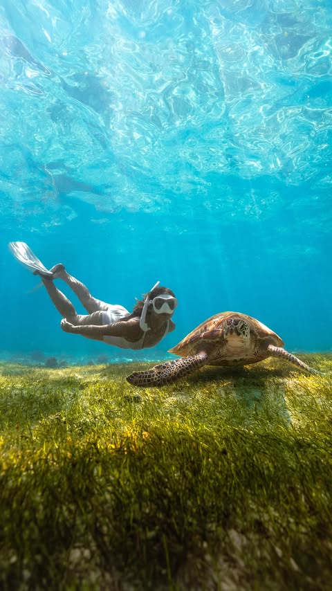 Instagram post by @merry_amber for Radisson. Caption reads: [...] the best memories out in Mauritius 🐬....