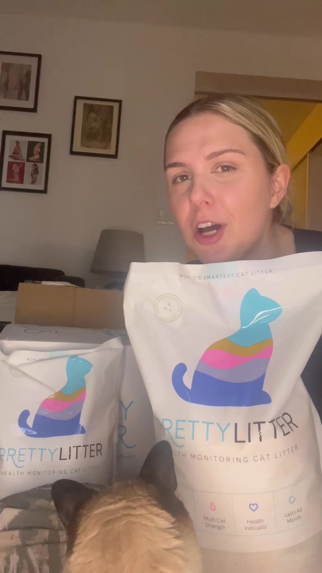 TikTok post by @daniellevoit for Prettylitter. Caption reads: Bean is obsessed with @PrettyLitter and honestly....
