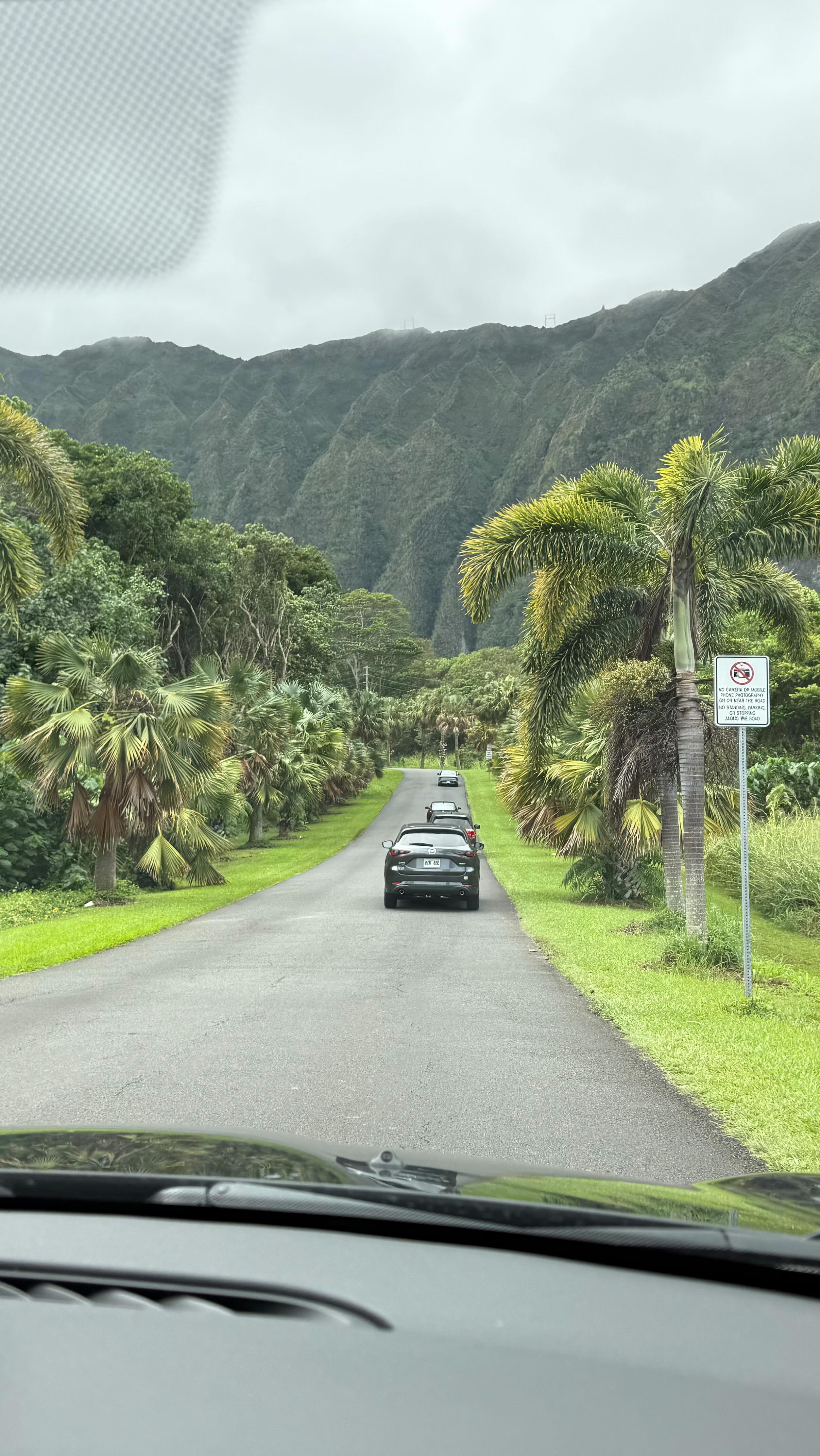 Instagram post by @kay_cortado for In Print We Trust. Caption reads: 🍒 @inprintwetrust.co.