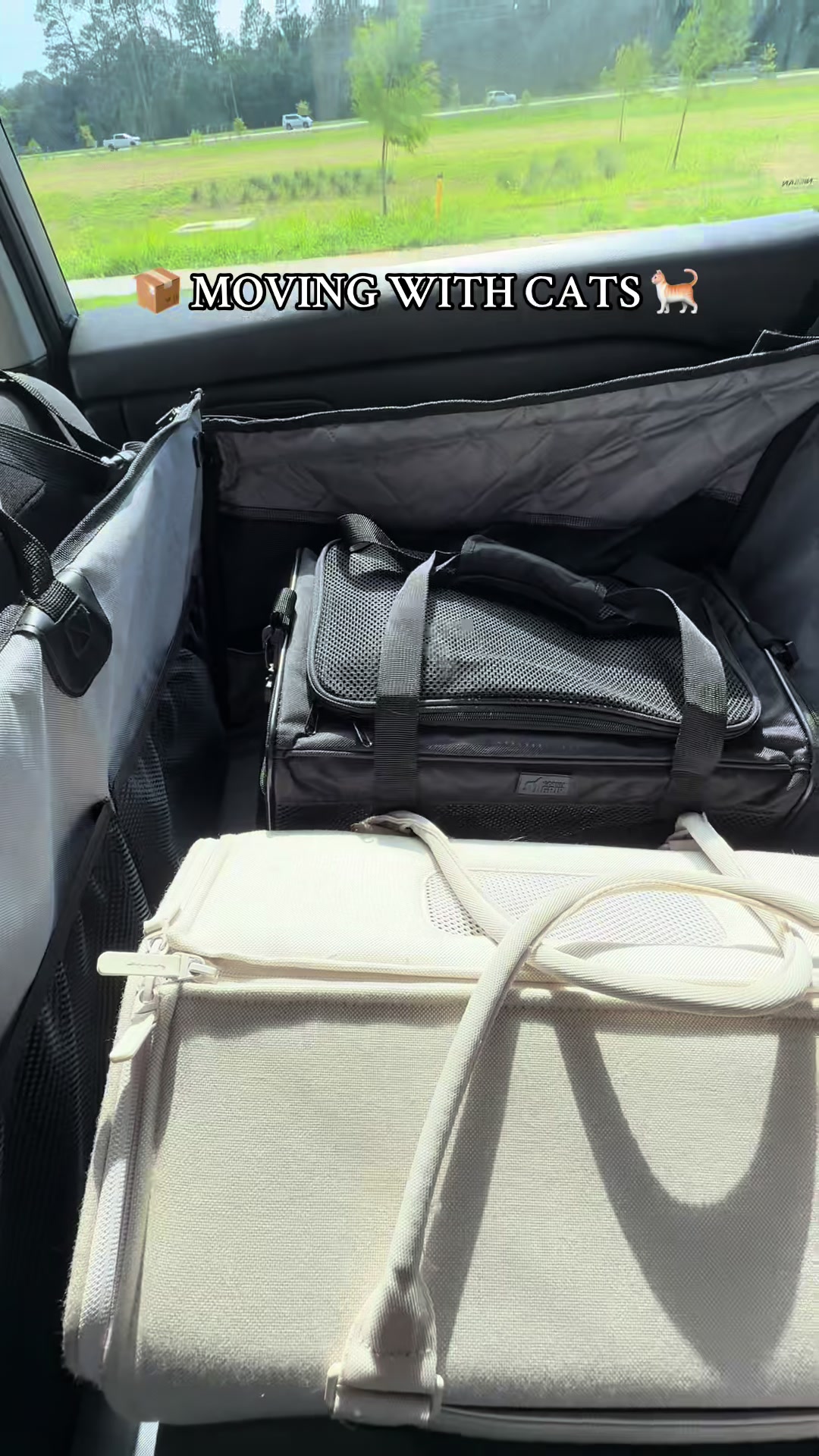 TikTok post by @luluthechonk for Tuftandpaw. Caption reads: The big day is here!!! 5 moves later… I’ve learned....