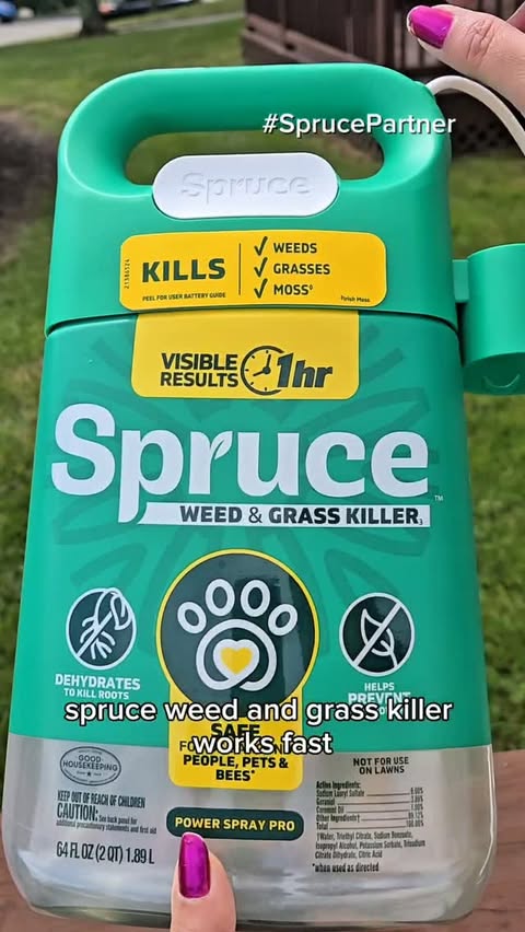Instagram post by @mrudulachandekar for Spruce. Caption reads: #SprucePartner #ad These weeds keep growing back....