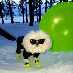 Instagram post by @tinyspikeymikey for RIFRUF. Caption reads: [...] my last day of vacation wearing my new....