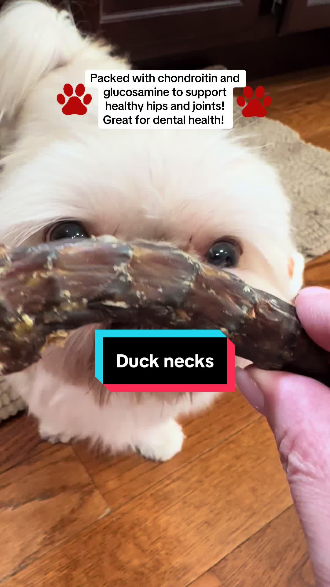 TikTok post by @charlietheshitzu0 for King Lou. Caption reads: [...] USA sourced whole duck necks from @King Lou....