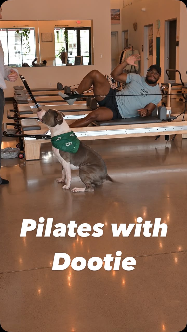 Instagram post by @jarellcarter for Earth Rated. Caption reads: Taking Dootie to Pilates today! But… first, bath....