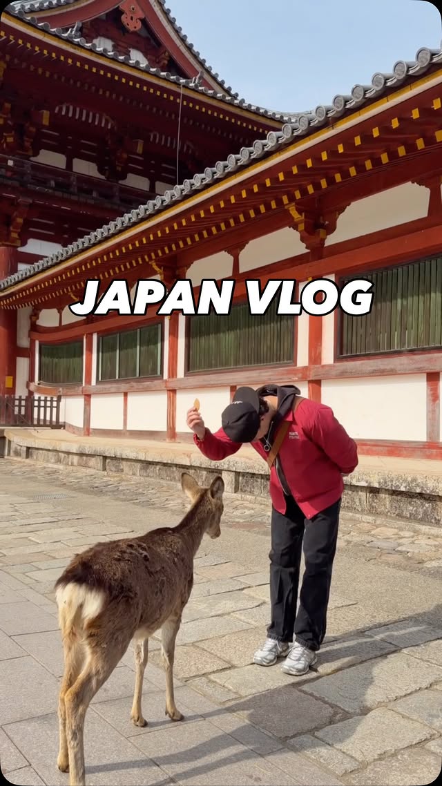 Instagram post by @itsnathanlust for Contiki. Caption reads: Best Japanese Experience with @contiki 🇯🇵 #japan....