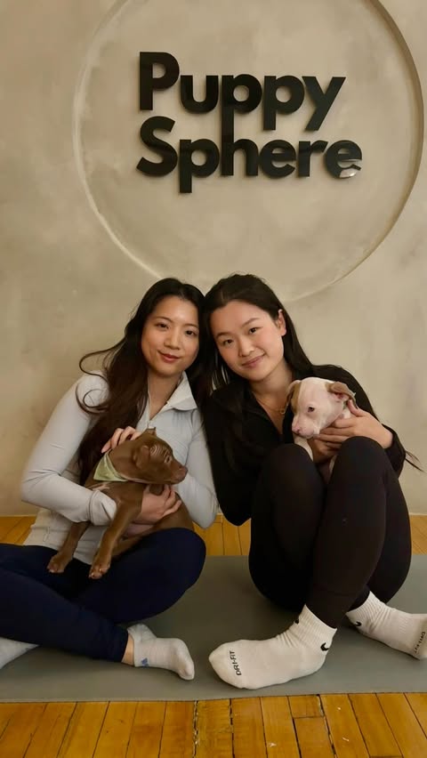 Instagram post by @yyz.daily for Fun Things Toronto. Caption reads: Puppy yoga >>> 🤍✨☁️🧘🏻‍♀️🐶 Would you try this?....