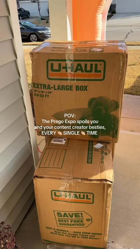 Instagram post by @alythebagel for The Prego Expo. Caption reads: [...] AN UNBOXING! ✨🤭 I’ve partnered with....