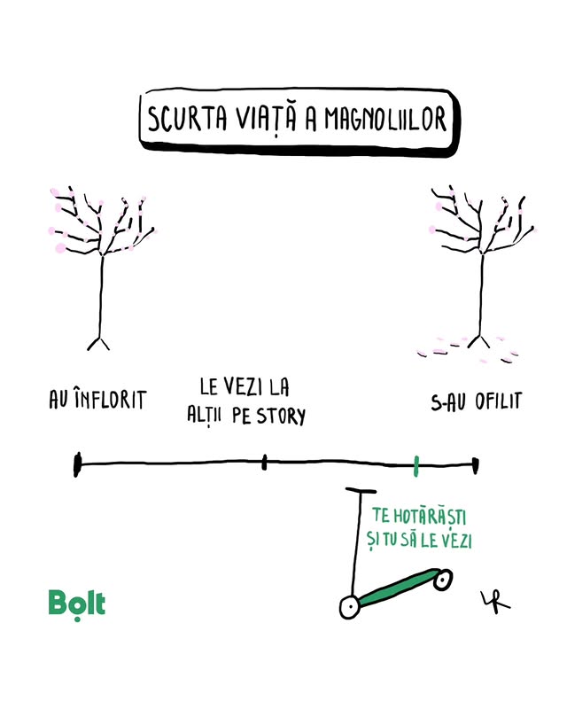 Instagram post by @laur_raboj_doodles for Bolt. Caption reads: [...] plimbare, că se trec magnoliile"! 🌸🌸....