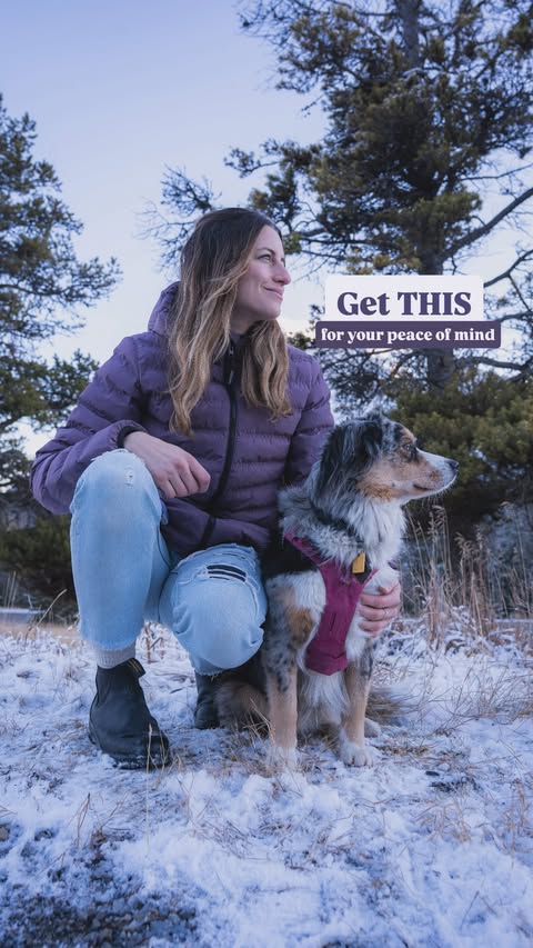 Instagram post by @shewandersearth for Tractive. Caption reads: 🚨Avoid the pet parent micro panic with this trick....