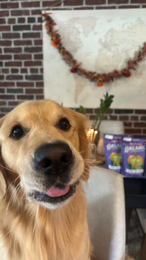 Instagram post by @alexaraeperry for Grandma Lucy's. Caption reads: THIS IS NOT A DRILL! @grandmalucys has a limited....