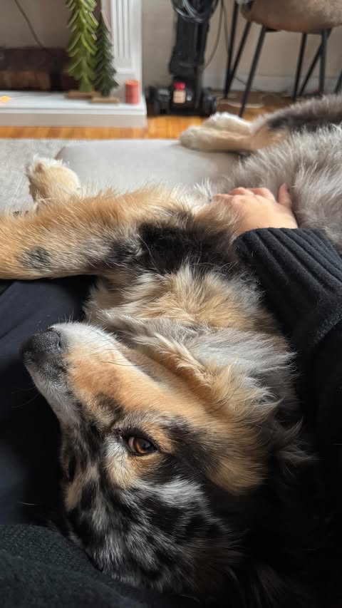 Instagram post by @hopeannwilliams for REVOLVE. Caption reads: & feel confident in!!!!❤️ @revolve....