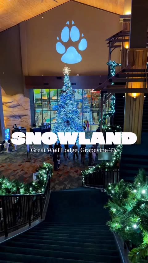 Instagram post by @livin.mivida.ale for Great Wolf Lodge. Caption reads: Snowland at Great Wolf Lodge was such a win for....