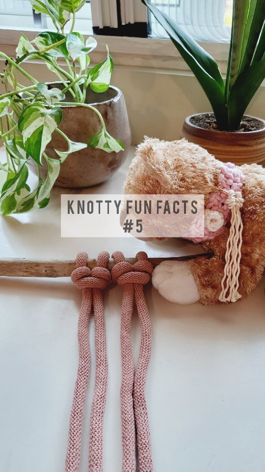 Instagram post by @macrame.it for Bobbiny. Caption reads: 🪢KNOTTY FUN FACTS #5🪢

This is the last of 5....