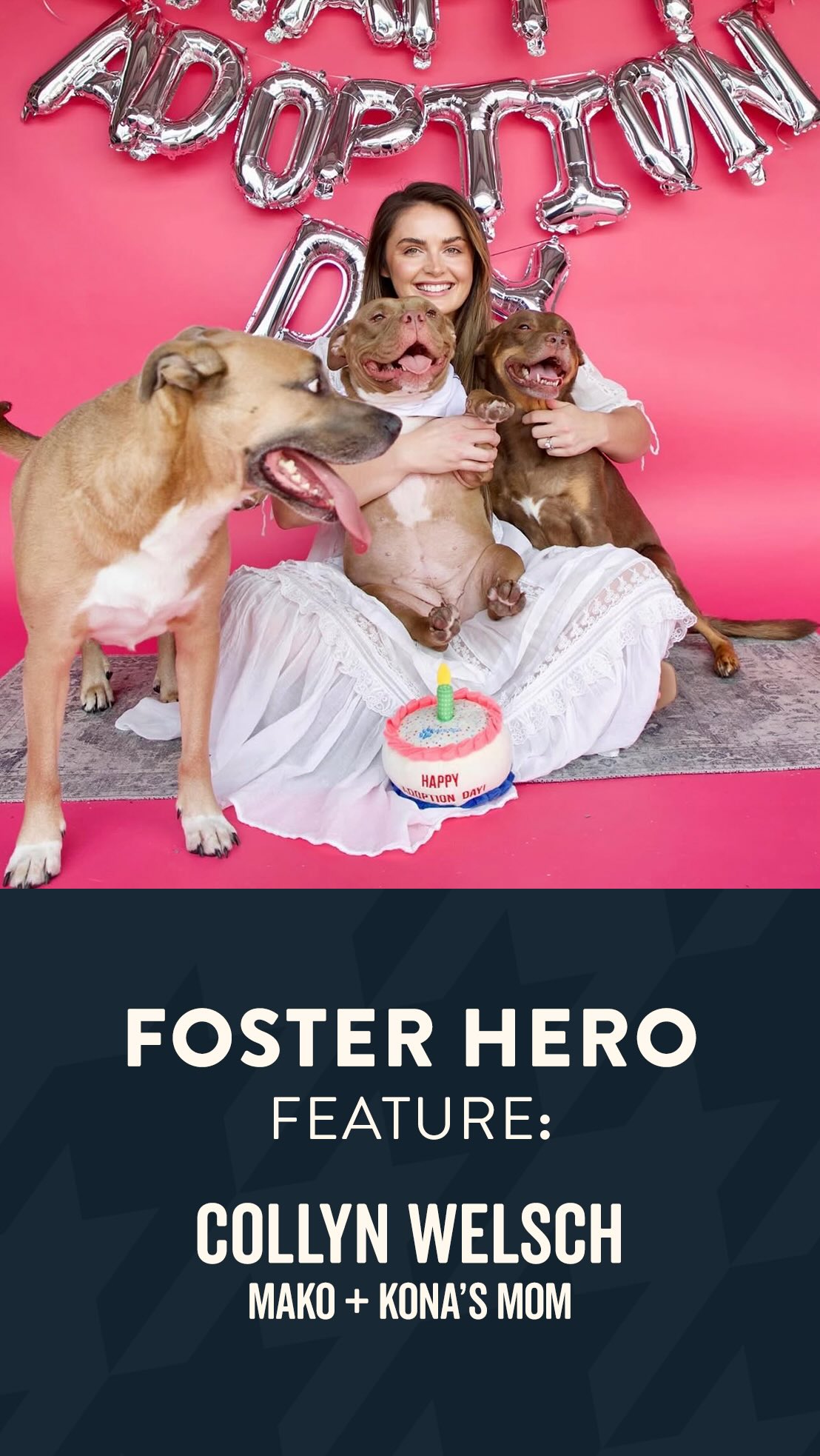 Instagram post by @makoandkonasmom for Grounds & Hounds Coffee Co.. Caption reads: Foster Hero Feature: Part 3! Meet Collyn, aka....