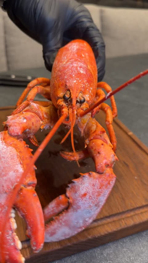 Instagram post by @the_barbecue_dude_official for The Nikos Knife. Caption reads: [...] 
@mueritzfischer 
@thenikosknife 
-
#lobster....