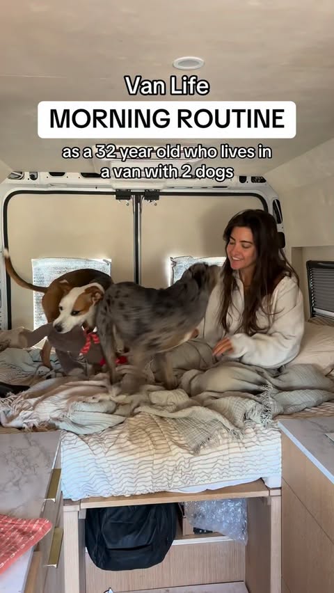 Instagram post by @livinginadvance for Jinx. Caption reads: [...] Which is why I’ve been feeding them....