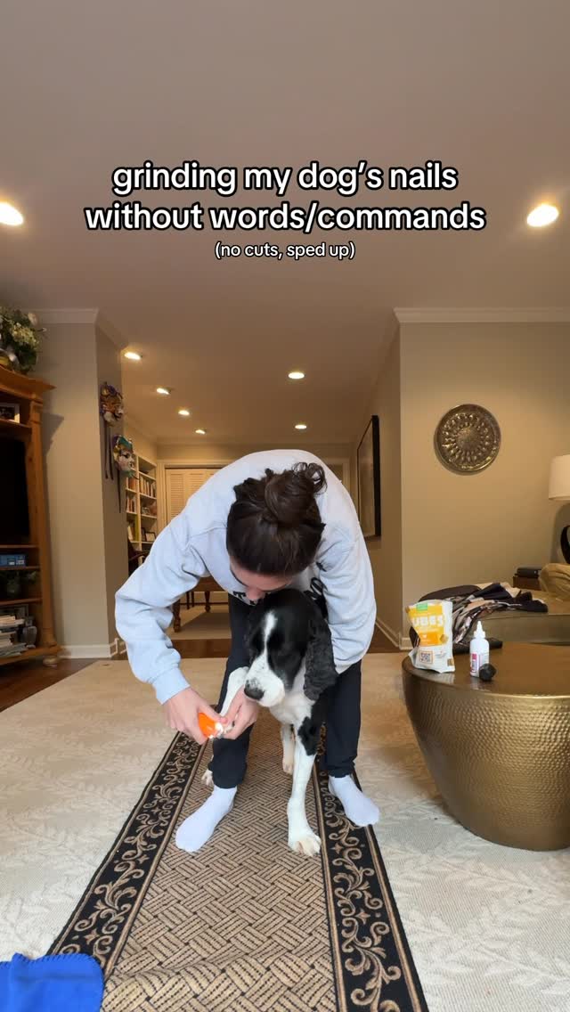 Instagram post by @myboyrudder for Open Farm Pet. Caption reads: dogs don’t understand english. talking too much....