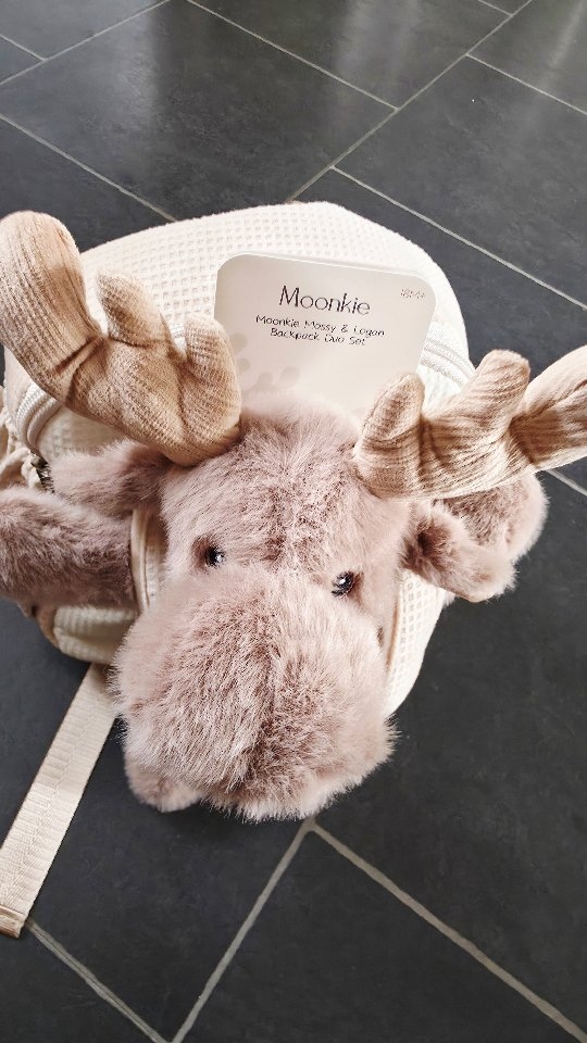 Instagram post by @venturous.me for Moonkie. Caption reads: We have found the perfect backpack at....