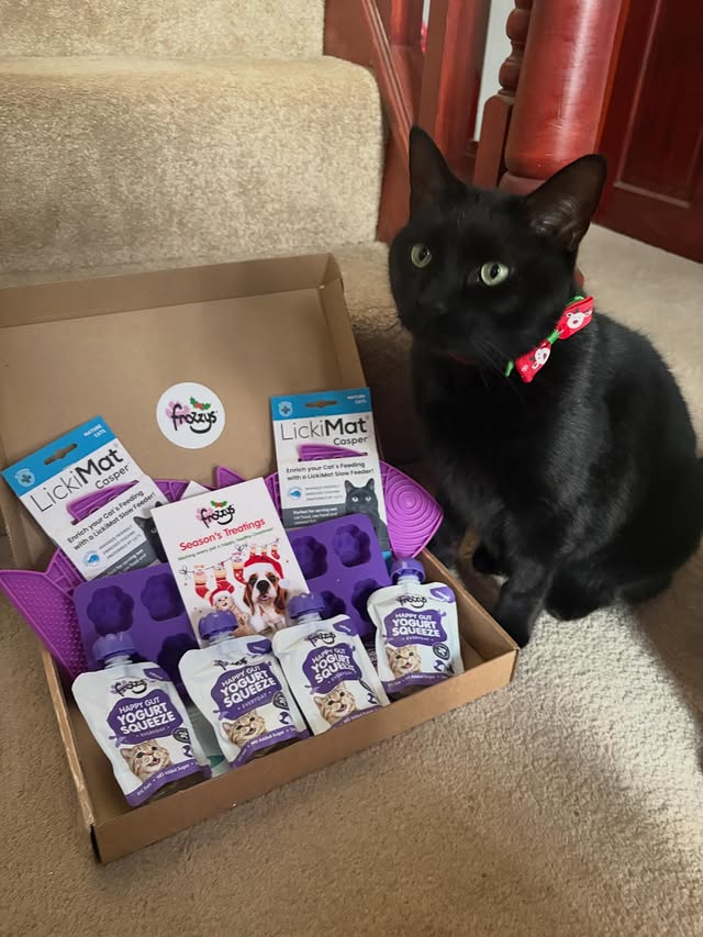 Instagram post by @coal_and_bailey for Frozzys. Caption reads: [...] we have found the most tasty treats,....