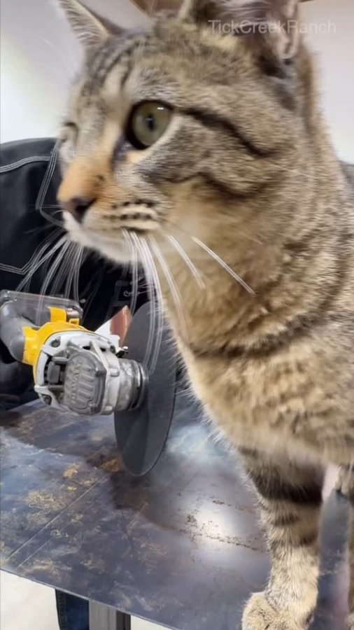 Instagram post by @tickcreekranch for Arccaptain. Caption reads: Powerful cuts in a compact design! The Arccaptain....