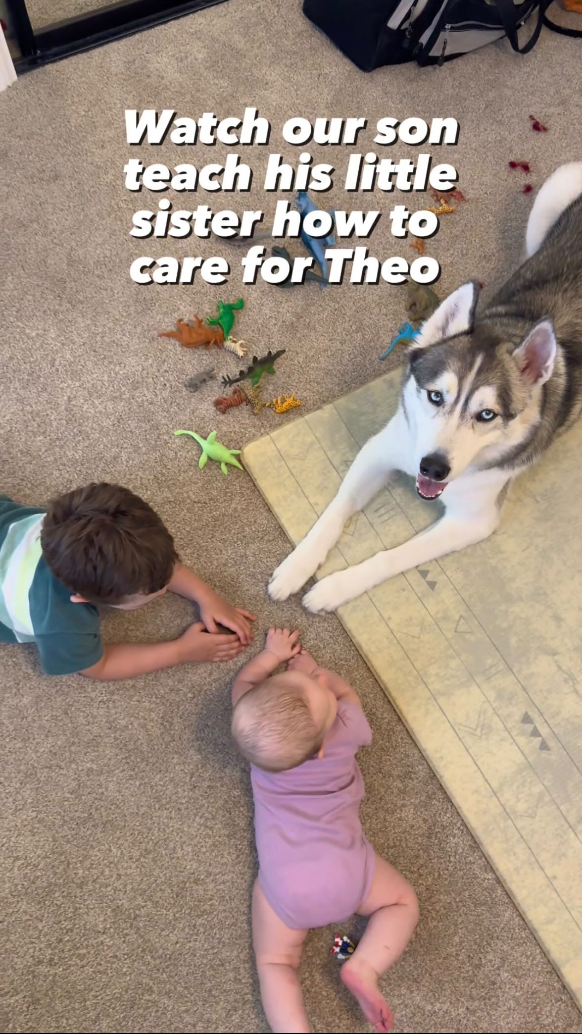 Instagram post by @thathuskytheo for NutriSource Pet Foods. Caption reads: Just a big brother showing his lil sis how to care....