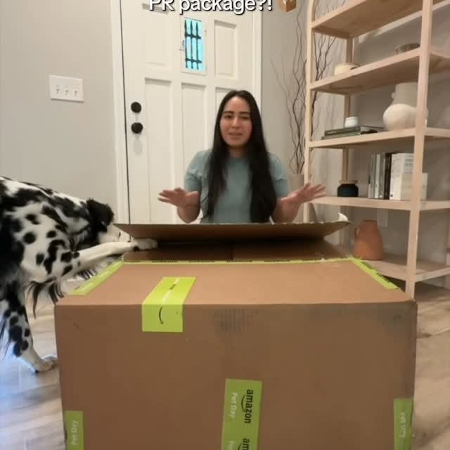 Instagram post by @ryderdalmatian for Amazon Pets. Caption reads: @amazon SPOILED us for #AmazonPetDay, which is....