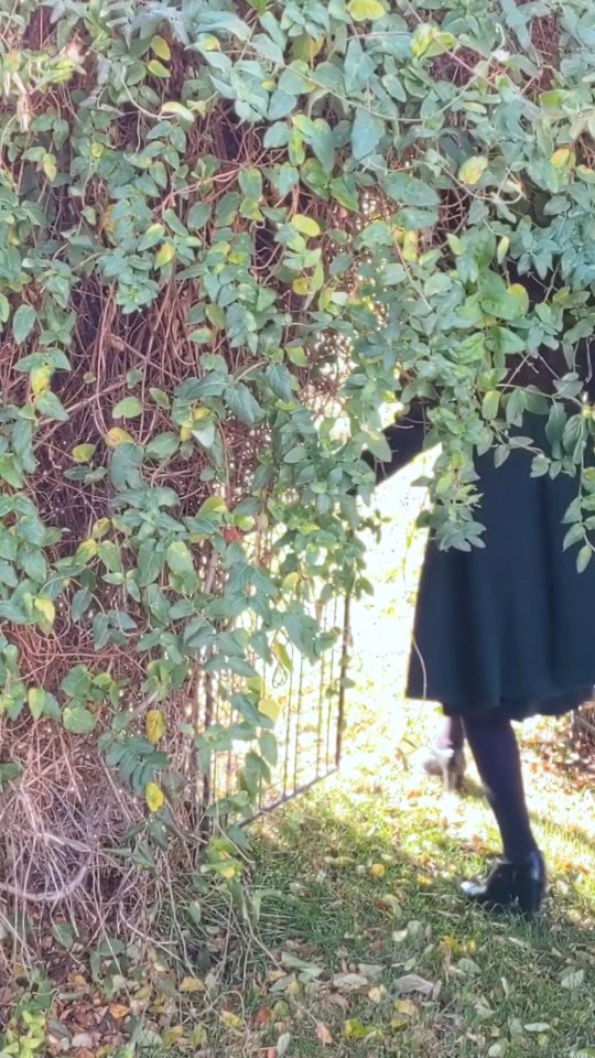 Instagram post by @hyacinthwonders for Retro Stage. Caption reads: Are you a "IT'S CHRISTMAS NOW" or a "it's not even....