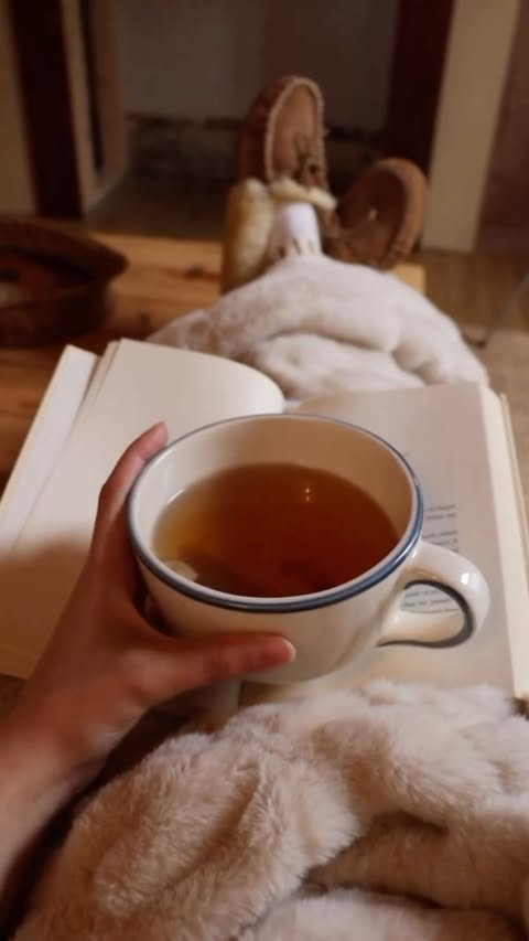 Instagram post by @thesunalsoreads for Lola Blankets. Caption reads: It’s me and my beloved @lolablankets blanket....