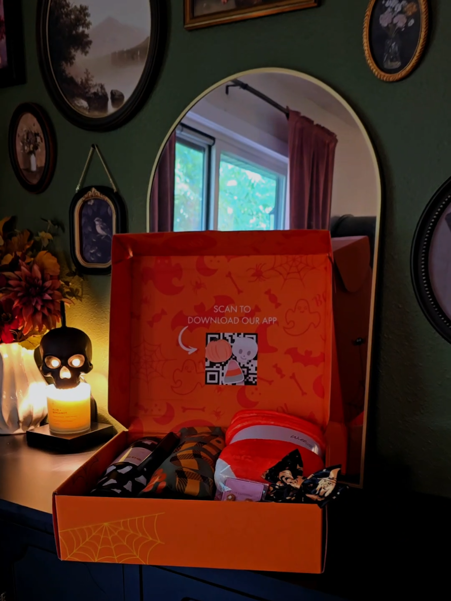 TikTok post by @lish.ann for Willow Boutique. Caption reads: Absolutely love this box from @Willow Boutique....