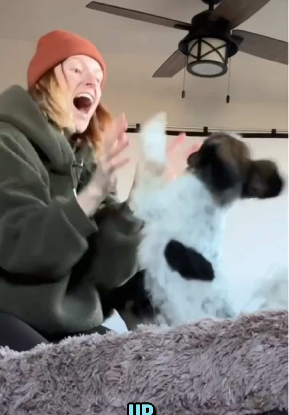 TikTok post by @whataboutbunny for Lesure Pet. Caption reads: I might need one in every room. @Lesure Pet....