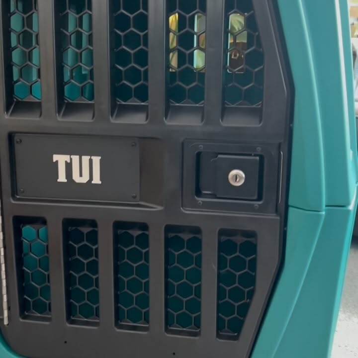 Instagram post by @tuitheblackgsd for Gunner. Caption reads: Probably the prettiest kennel I will ever own😍....