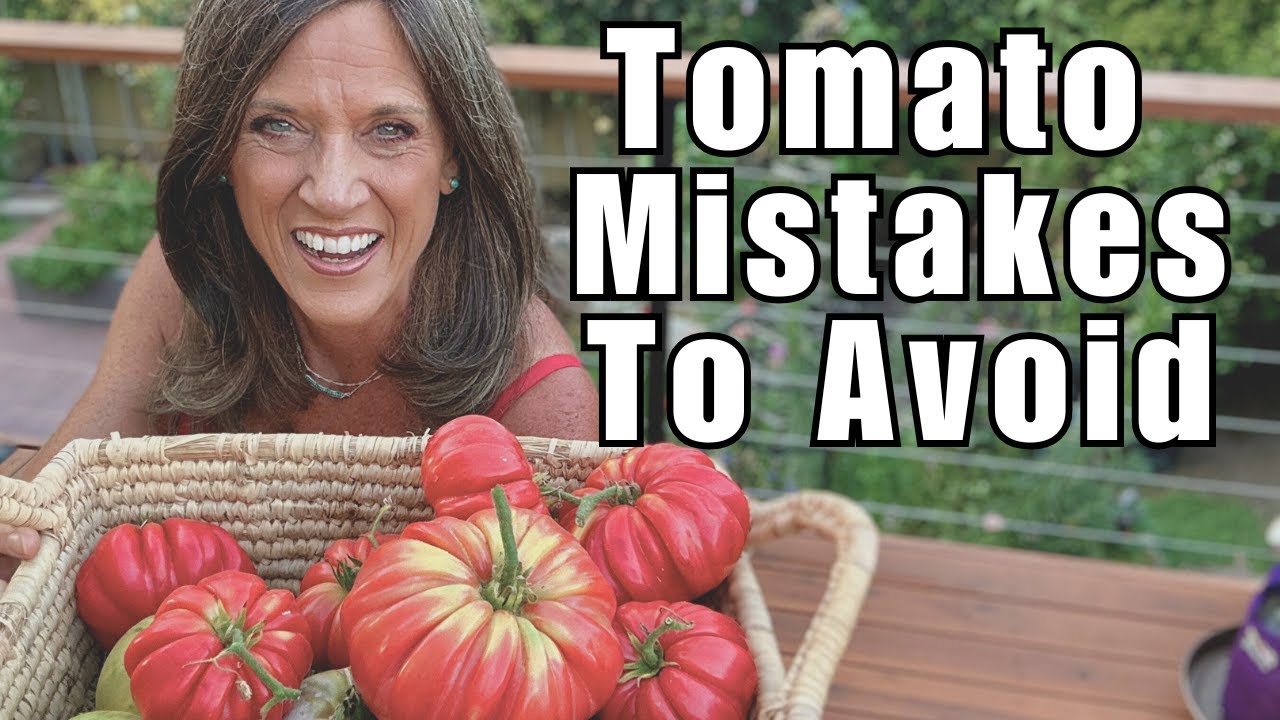 YouTube post by @CaliKim29 for Smart Pot. Caption reads: Tomato Growing Mistakes To Avoid at All Costs.
