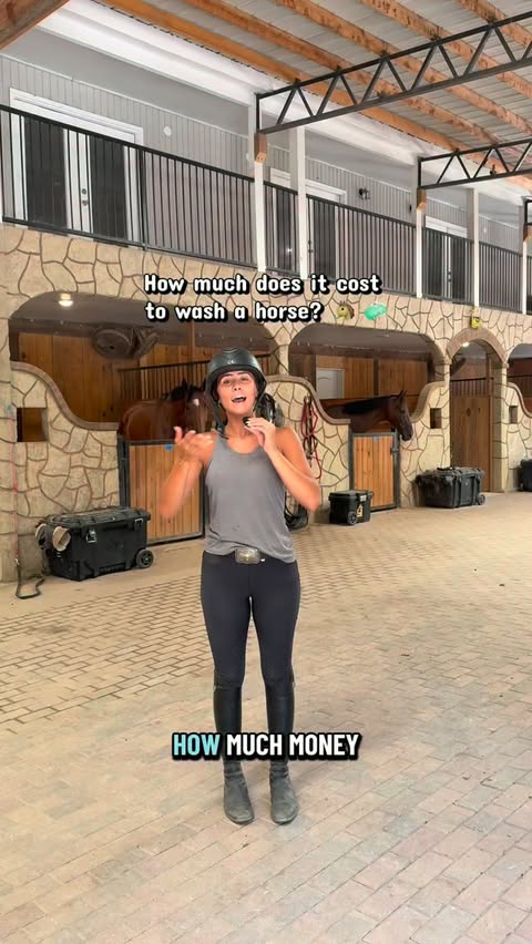 Instagram post by @bonita__farm for Suave. Caption reads: #AD Mom and Daughter spa day 🥰🐴🧼 @suave....