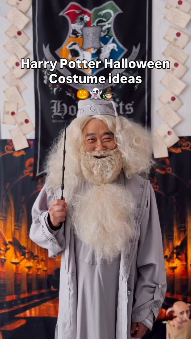 Instagram post by @thewizardingsibs for Halloween Costumes. Caption reads: Harry Potter Halloween Costumes! 🪄🎃

Halloween....