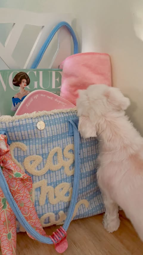 Instagram post by @elizabethryansc for Packed Party. Caption reads: [...] beach stops, and the CUTEST bags from....