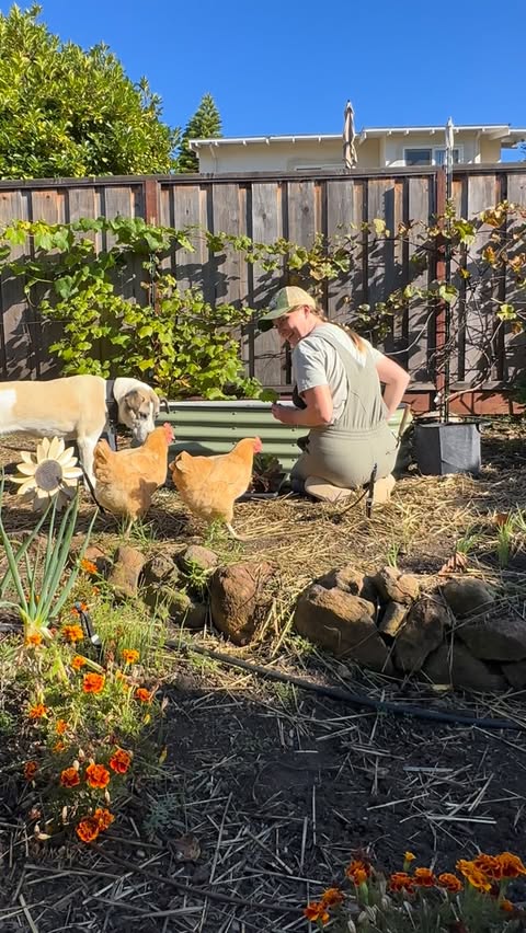 Instagram post by @girlandherdogfarm for Epic Gardening. Caption reads: [...] up for next season with our favorite....