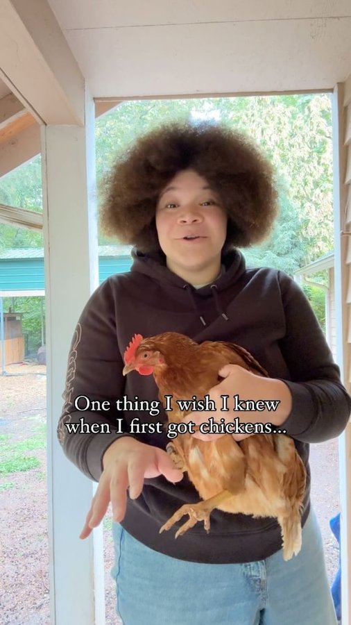 Instagram post by @chickenchaserbri for Grubbly Farms. Caption reads: [...] me ‘GRUBS’ for a discount🫡 We love....