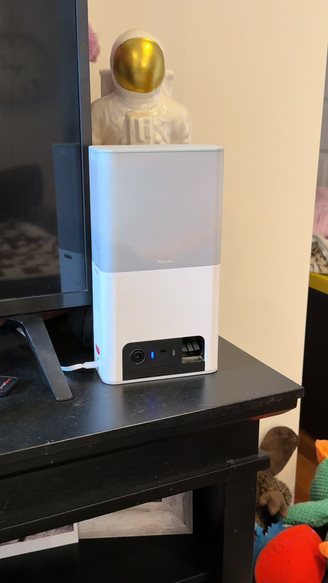 TikTok post by @waltandgusthebernese for Petcube. Caption reads: [...] an eye on Gus (and Walt) with the @Petcube....